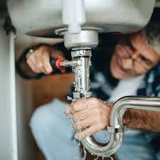 Best Plumbing System Maintenance  in Meadowbrook, AL